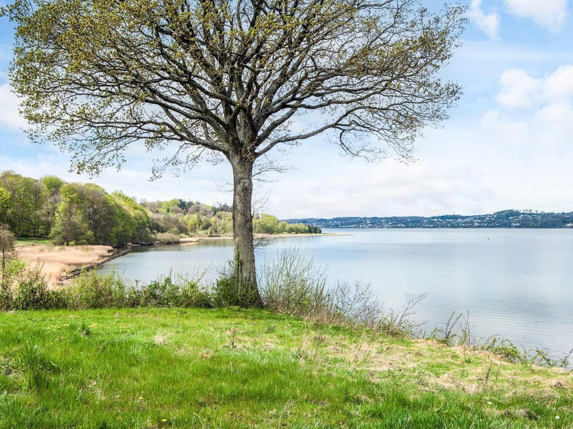 4 Person Holiday Home In B Rkop Børkop Exteriér fotografie